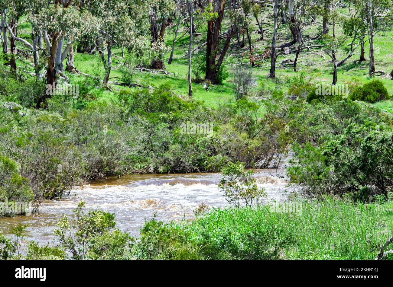 Der Apsley River fließt durch den australischen Busch in der Nähe von Walcha NSW Australien. Stockfoto