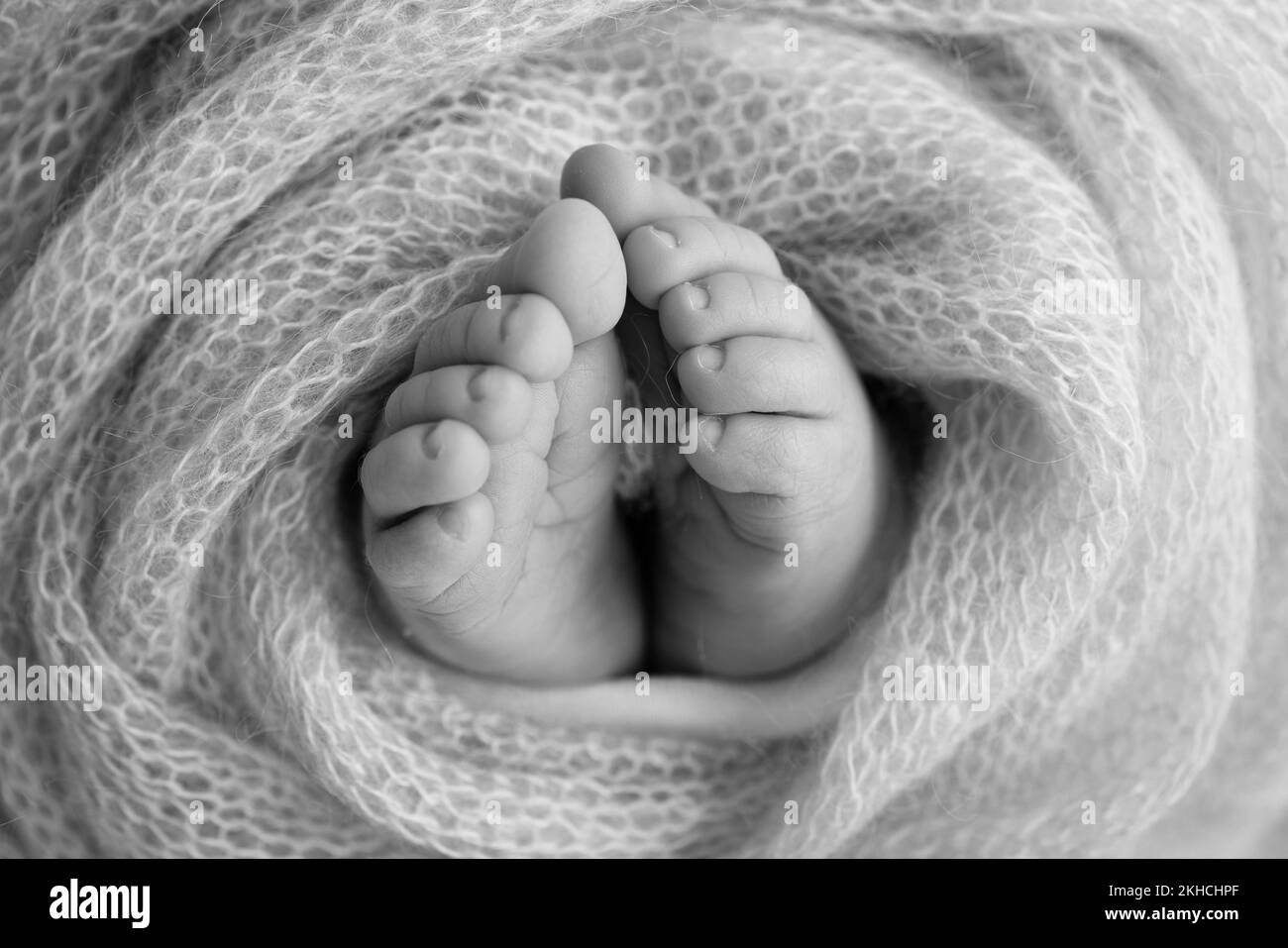 Die weichen Füsse eines Neugeborenen in der Decke. Makrofotografie in Schwarz-Weiß-Studios. Stockfoto