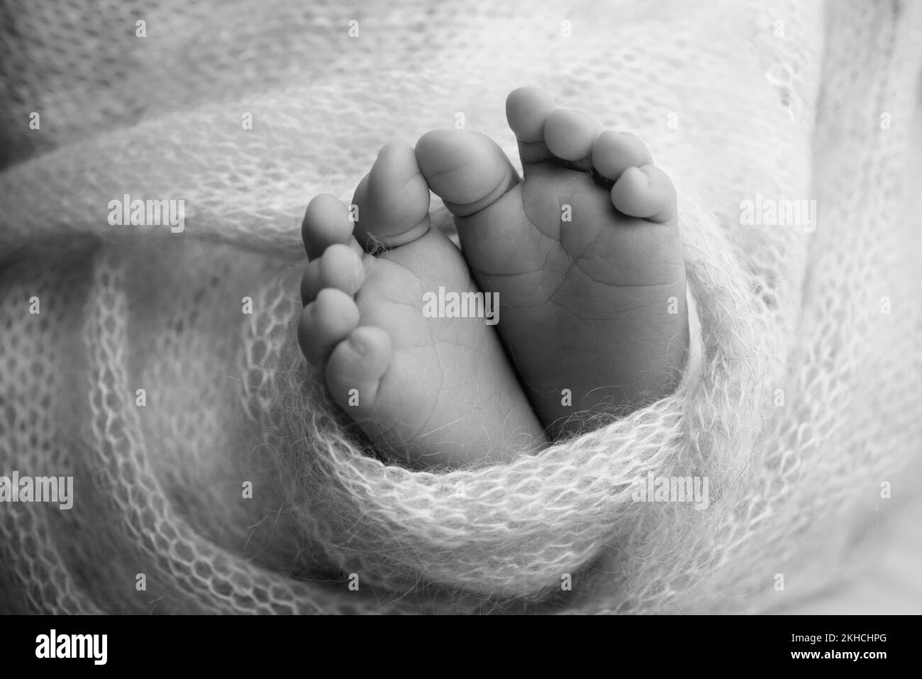 Weiche Füsse eines Neugeborenen in einer Decke. Makrofotografie in Schwarz-Weiß-Studios. Stockfoto