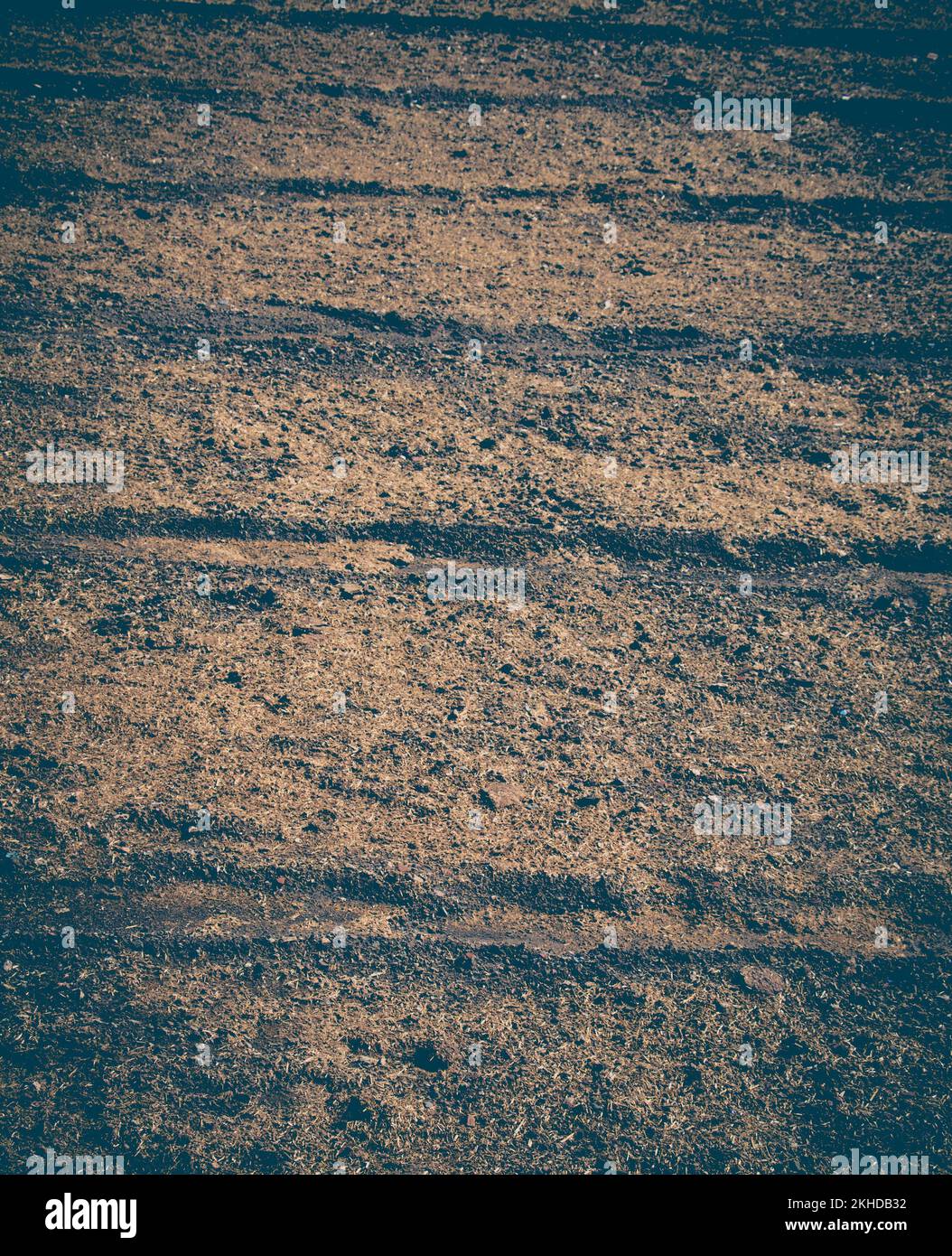 Gepflügte Feld mit Spuren im Frühjahr zu sehen Stockfoto