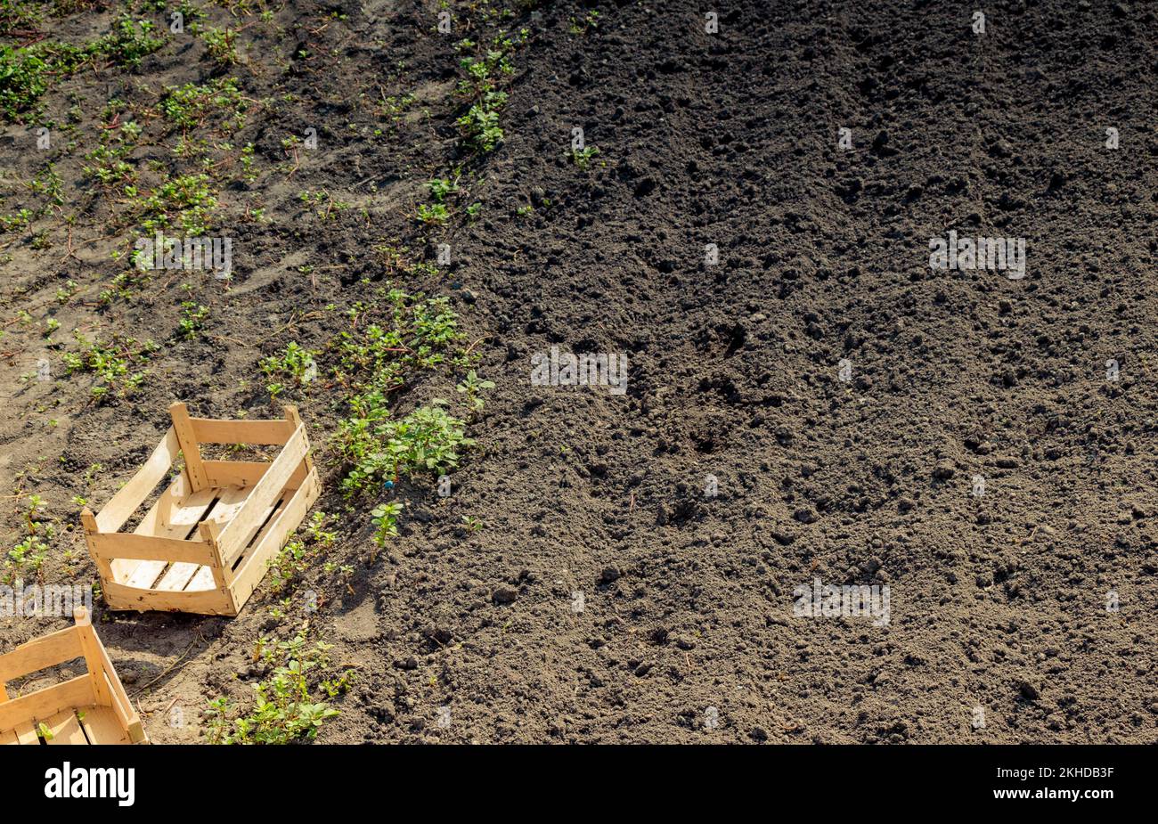 Gepflügte Feld mit Spuren im Frühjahr zu sehen Stockfoto