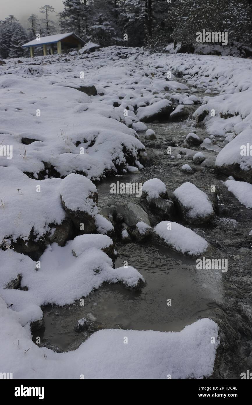 In der Wintersaison fließt ein Bergbach durch das schneebedeckte yumthang-Tal im Norden sikkim, indien Stockfoto