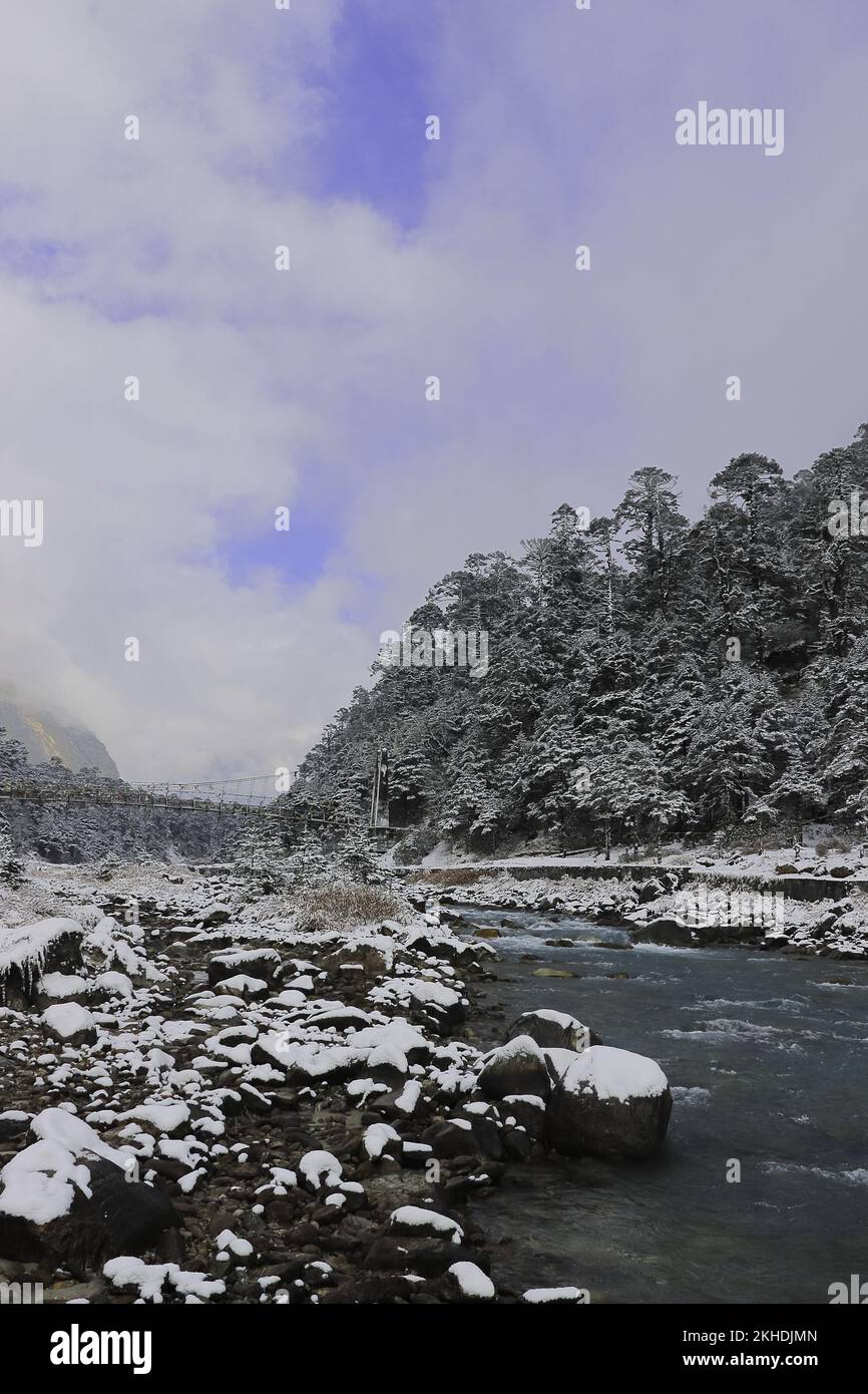 Der wunderschöne fluss lachung fließt in der Wintersaison durch das schneebedeckte yumthang-Tal im Norden von sikkim, indien Stockfoto