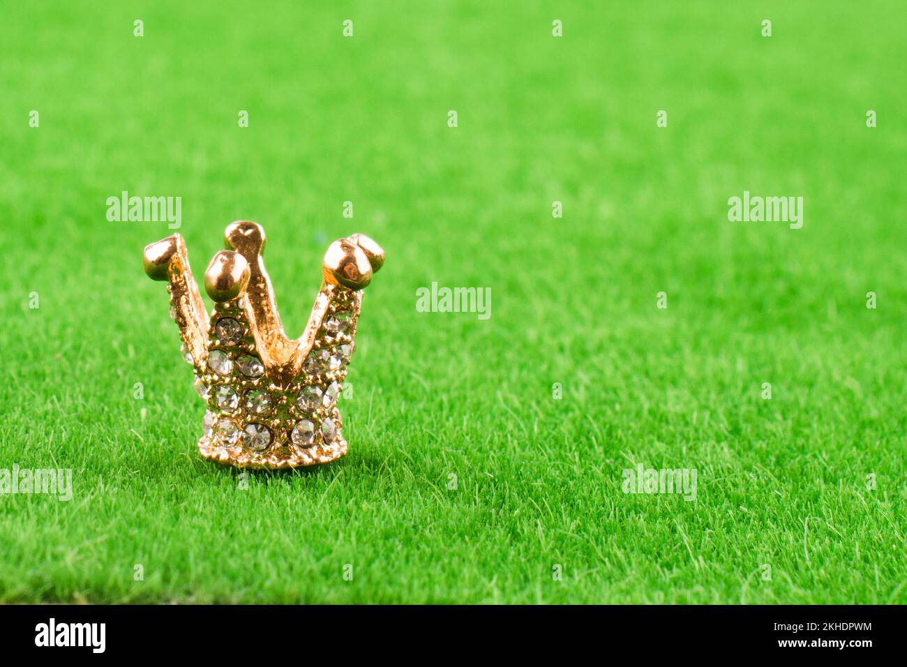 Golden Crown Modell mit Perlen auf Gras Stockfoto