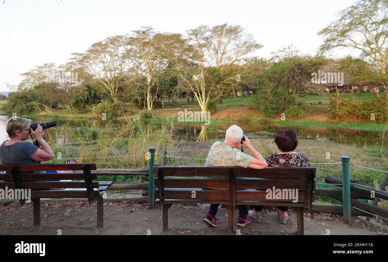 Touristen, Menschen sitzen auf Bänken an einem Wasserloch, Wasserloch, Wasserloch und machen Fotos von der Natur in Hazyview, Mpumalanga, Südafrika Concept Travel Stockfoto