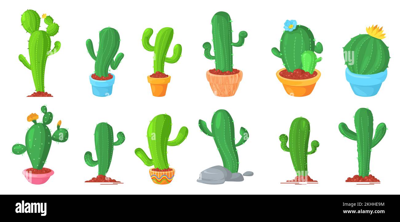 Kaktusblüte wächst im Topf und im Boden Stock Vektor
