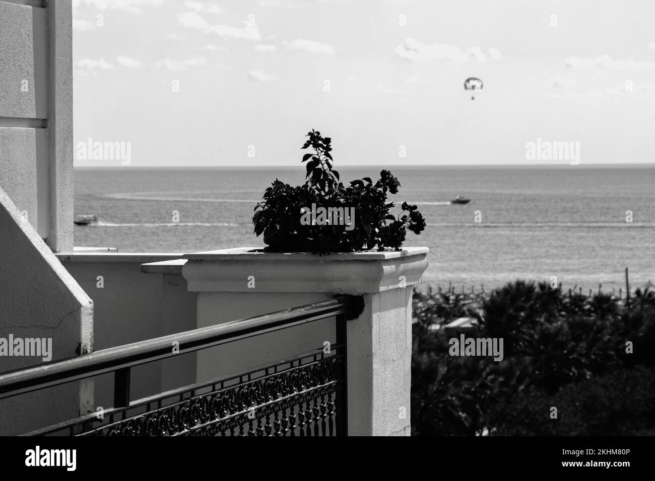 Schwarz-weiß Blick auf Blumen auf dem Balkon vor dem Meer und den Booten Stockfoto