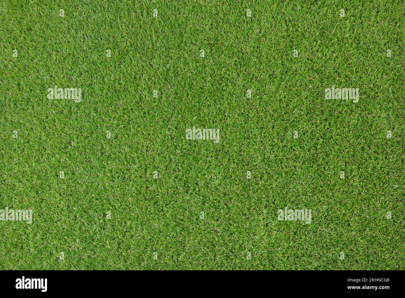 Grünimitationskunststoffhintergrund mit Kunstrasen. Draufsicht. Horizontale Zusammensetzung. Stockfoto