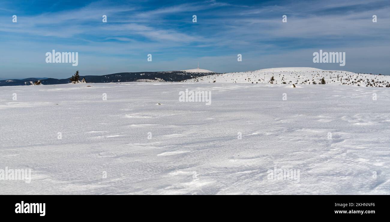 Vysoka-Loch und Praded vom Jeleni hrbet-Hügel im Winter Jeseniky-Gebirge in der tschechischen republik Stockfoto