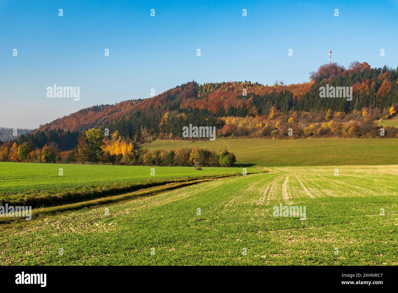 Wunderschöne herbstliche hügelige Landschaft mit Feld, Hügel bedeckt von bunten Wäldern mit Sender und klarem Himmel in der Nähe des Orlicke Podhuri Dorfes in tschechischer Repu Stockfoto