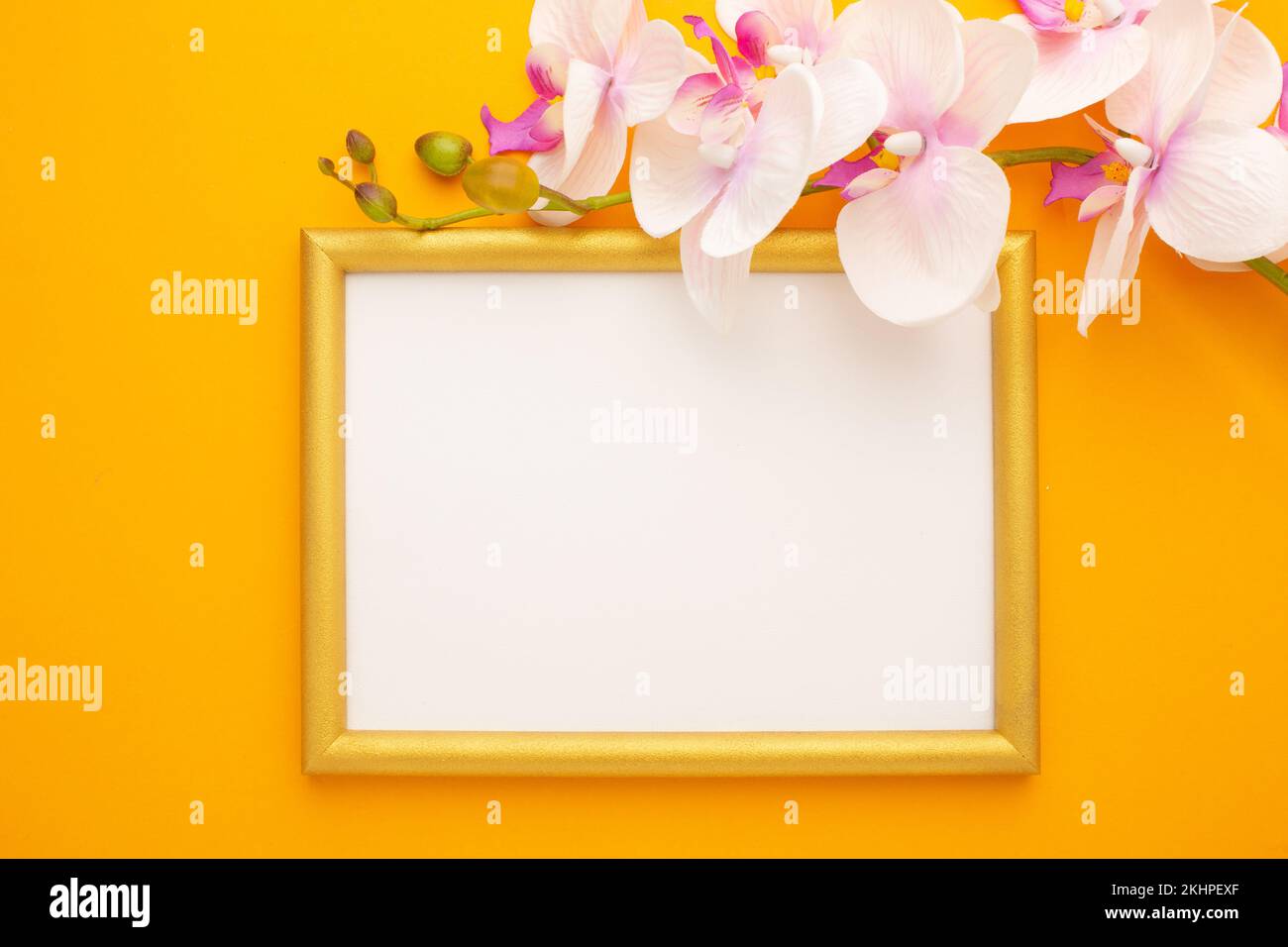 Goldener Rahmen auf gelbem Hintergrund mit Orchidee mit Platz für Text. Hochwertiges Foto Stockfoto