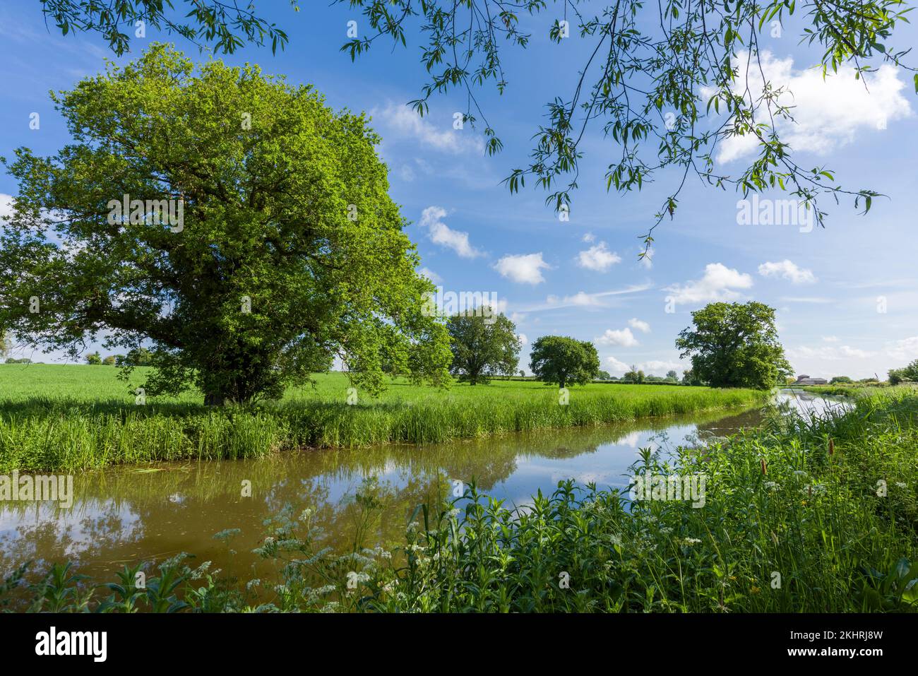 Bridgwater und Taunton Canal auf dem Land in Creech St Michael, Somerset, England. Stockfoto