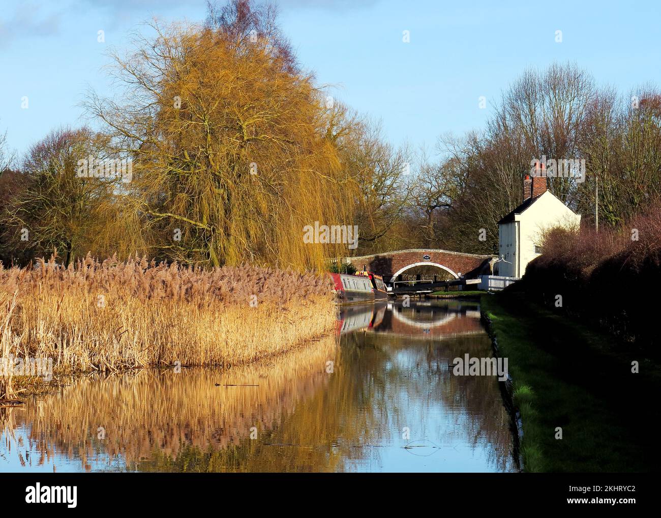 Fotografieren Sie Shropshire und Worcester Canal, einen British Waterways Canal in der Nähe von Tixall in Staffordshire, der eine leichte Form der Natur zeigt Stockfoto