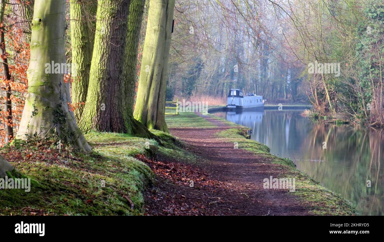 PhotographTrent und Mersey Canal eine britische Wasserwege Canal in der Nähe von Shugborough in Staffordshire mit leinpfad und leichte Formen der Natur gespiegelt o Stockfoto