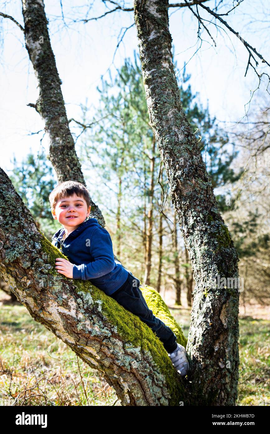 Ein glückliches Kind oder Kind, das auf einem Bug liegt, gibt vor, mit einem Lächeln und einem Ausdruck der Entspannung und Leichtigkeit auf einen Baum zu klettern, der zwischen Zweigen liegt Stockfoto