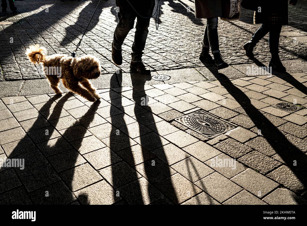 Fußgänger in einer Fußgängerzone, Winter, lange Schatten, Dortmund, NRW, Deutschland, Stockfoto