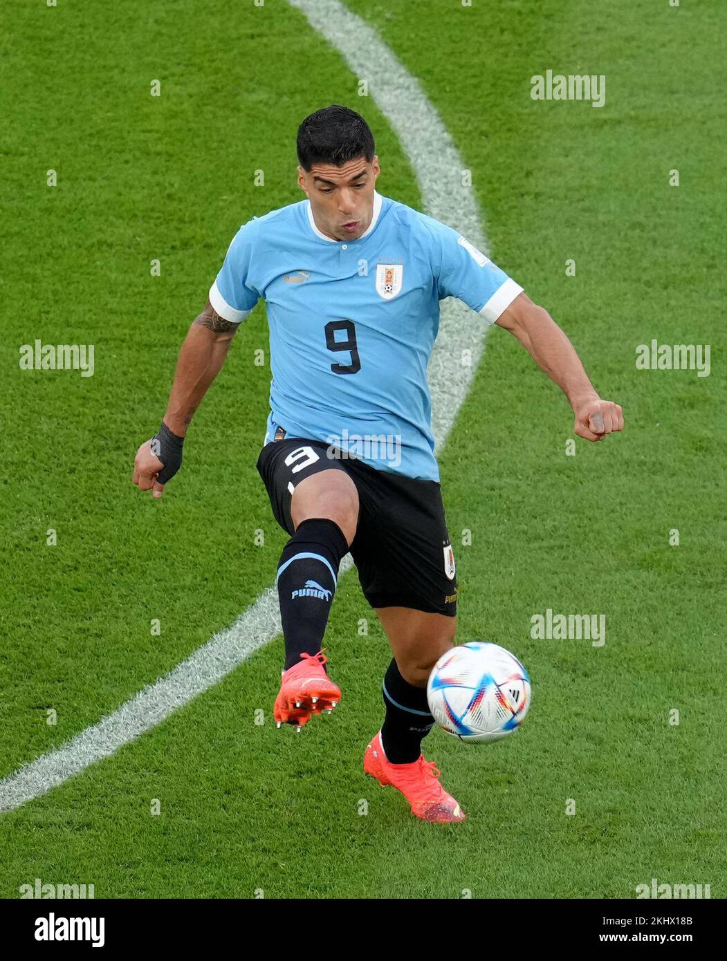 Luis Suarez aus Uruguay während des Spiels der Gruppe H der FIFA-Weltmeisterschaft im Education City Stadium in Doha, Katar. Foto: Donnerstag, 24. November 2022. Stockfoto