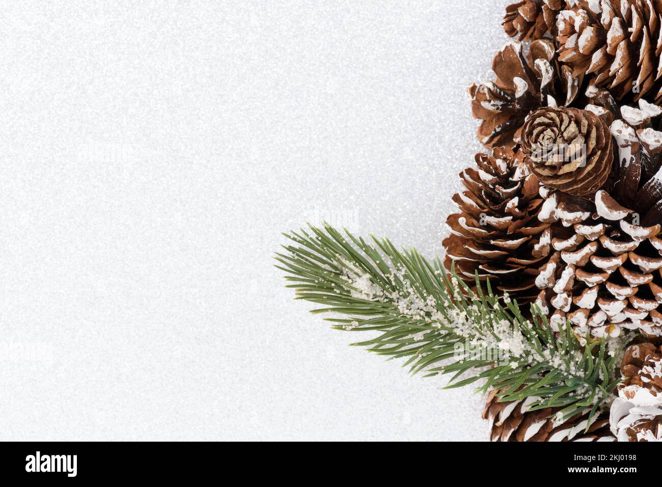 Weihnachtlicher Hintergrund mit Kiefernzapfen und einem Zweig mit grünen Nadeln, die mit Schnee bedeckt sind, isoliert auf silberweißem Hintergrund mit Kopierbereich. Stockfoto