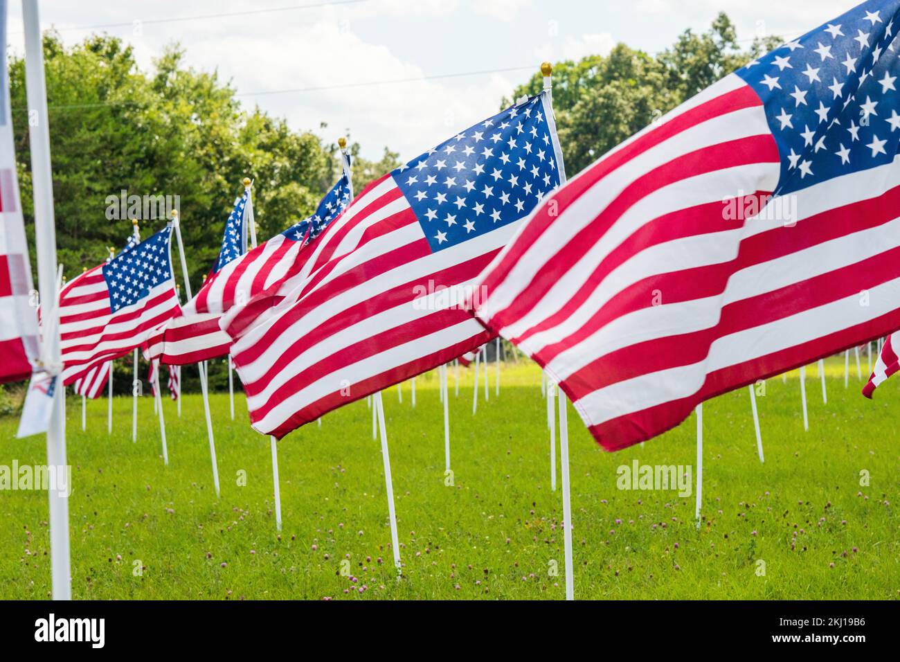 Hunderte amerikanische Flaggen flattern auf einem Feld Stockfoto