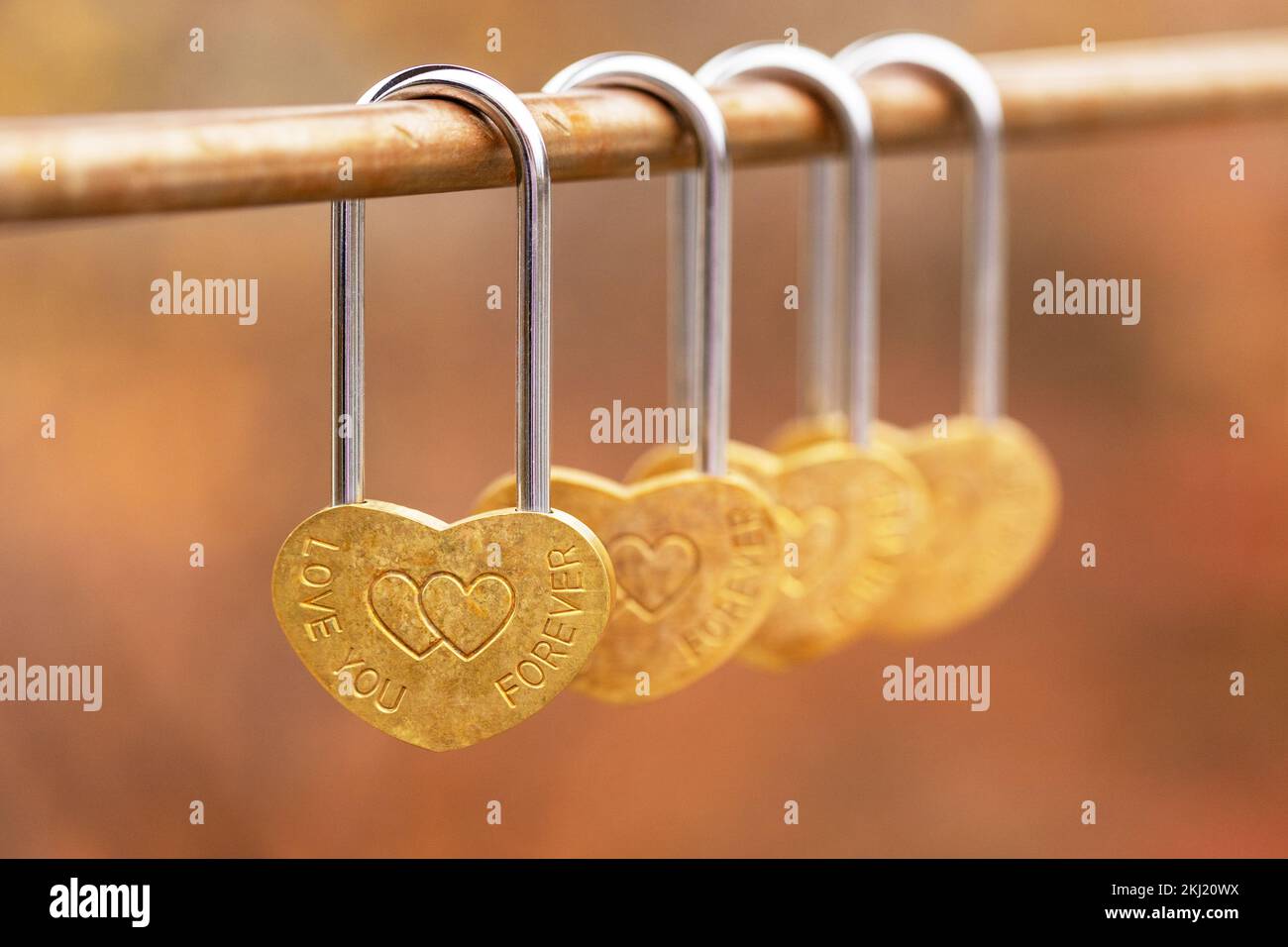 Symbol der ewigen Liebe, der Beziehungen und der Marge. Herzförmige Vorhängeschlösser hängen im Herbst auf der Brücke. Ich liebe dich für immer Stockfoto