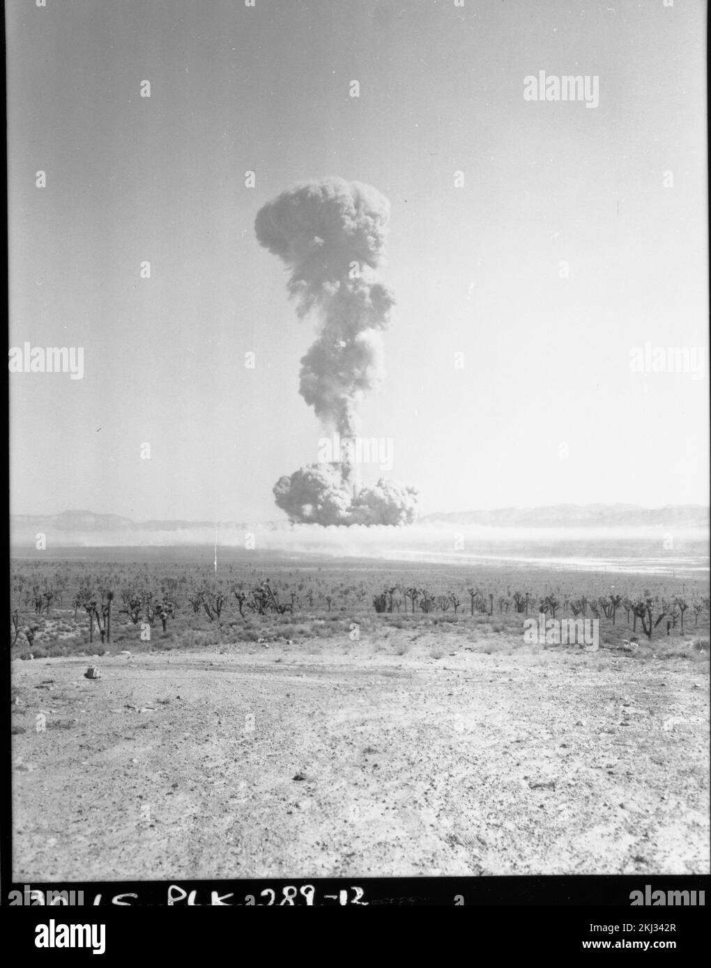 Projekt 30-65 - Detonation Von Operation Plumbob (Nevada Testgelände) FIZEAU-Feuerball und Wolke: Serie von 3-Bodensicht (3 von 3). Fotografien von atmosphärischen Nuklearversuchen auf Pacific Island und Nevada Testgelände. Stockfoto