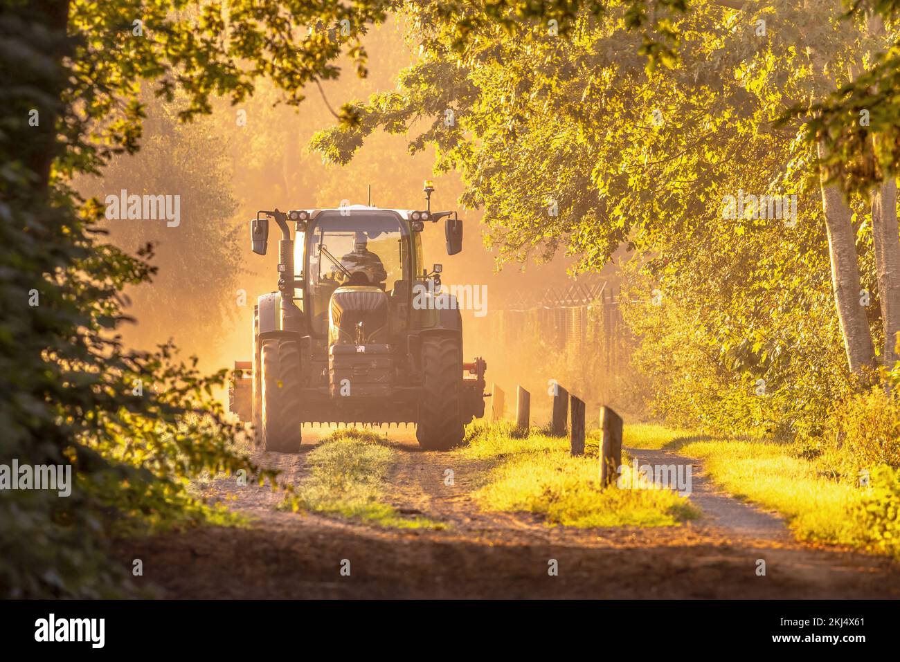 Traktor im goldenen Sonnenaufgang, trübes Licht. Landwirtschaftliches Fahrzeug auf unbefestigter Straße am Morgen. Drenthe Niederlande. Stockfoto