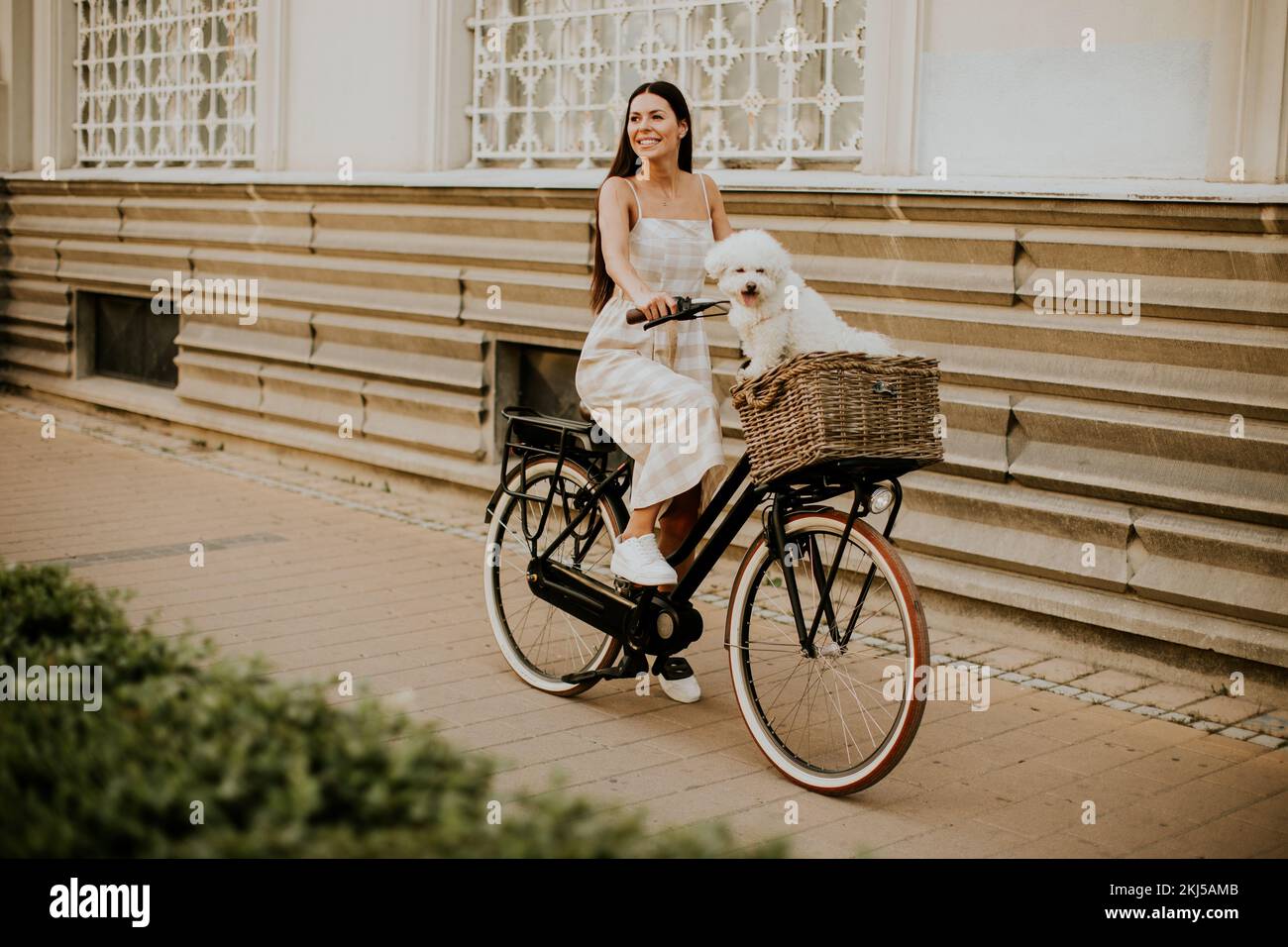 Hübsche junge Frau mit weißem bichon Frisehund im Korb mit Elektrofahrrad Stockfoto