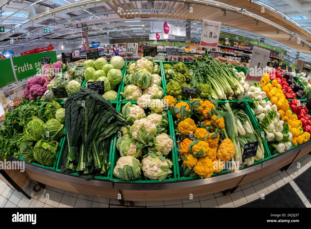 Cuneo, Italien - 22. November 2022: Stall mit verschiedenen bunten Arten von Kohl, Blumenkohl, Gemüse und Paprika im Spazio Conad Supermarkt, Fisch Stockfoto