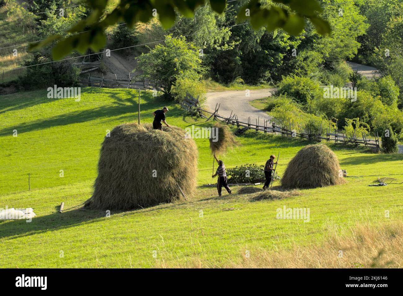 Bauern und Heuhaufen auf einem Feld Serbiens, Kamena Gora Stockfoto