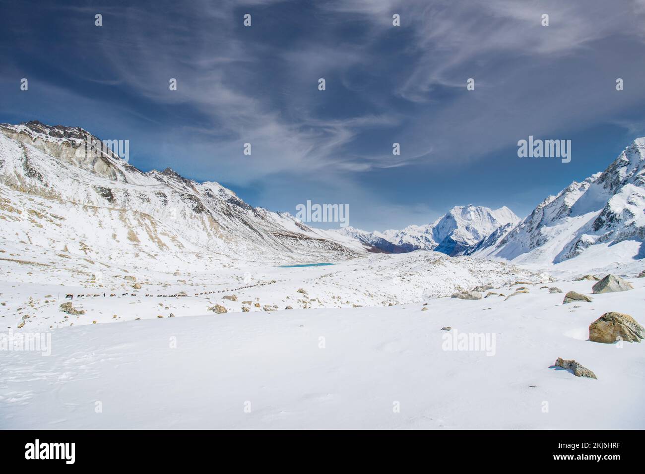 Esel, die wichtige Vorräte in den schneebedeckten Bergen auf dem Larke Pass of Manaslu Circuit Trek im Himalaya, Nepal, transportieren Stockfoto