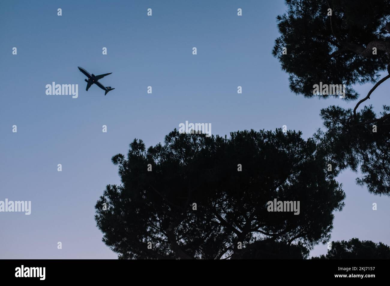 Flugzeug fliegt in der Ferne, über Bäumen in Silhouette. Himmelblau in der Dämmerung. Wurmperspektive. Moody Travel Urlaub Hintergrundkonzept Stockfoto