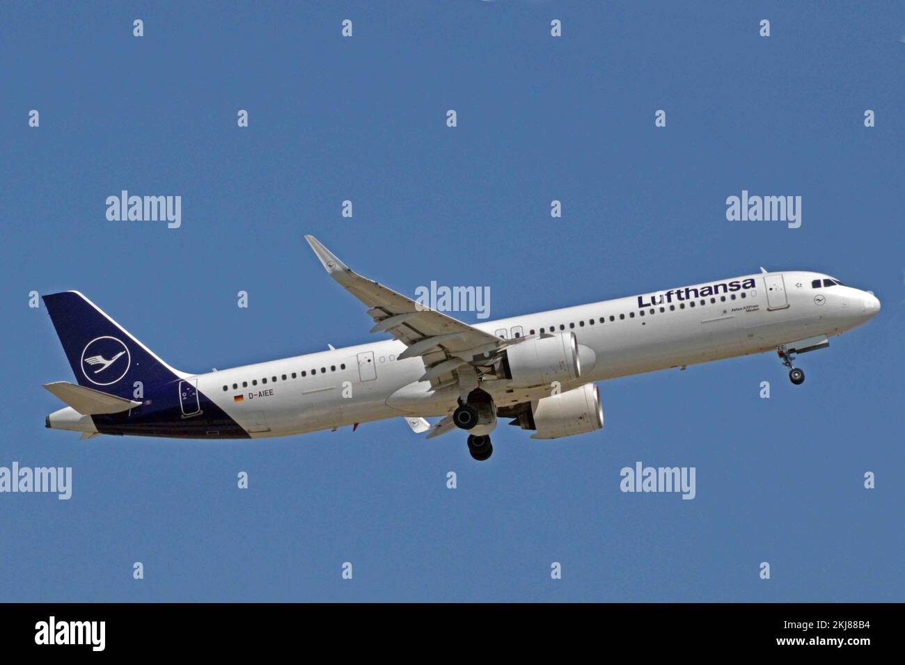 Deutschland, Bayern, München: D-AIEE Airbus A.321-271NX (c/n 9046) der Lufthansa am Münchner Flughafen Franz Josef Strauss. Stockfoto