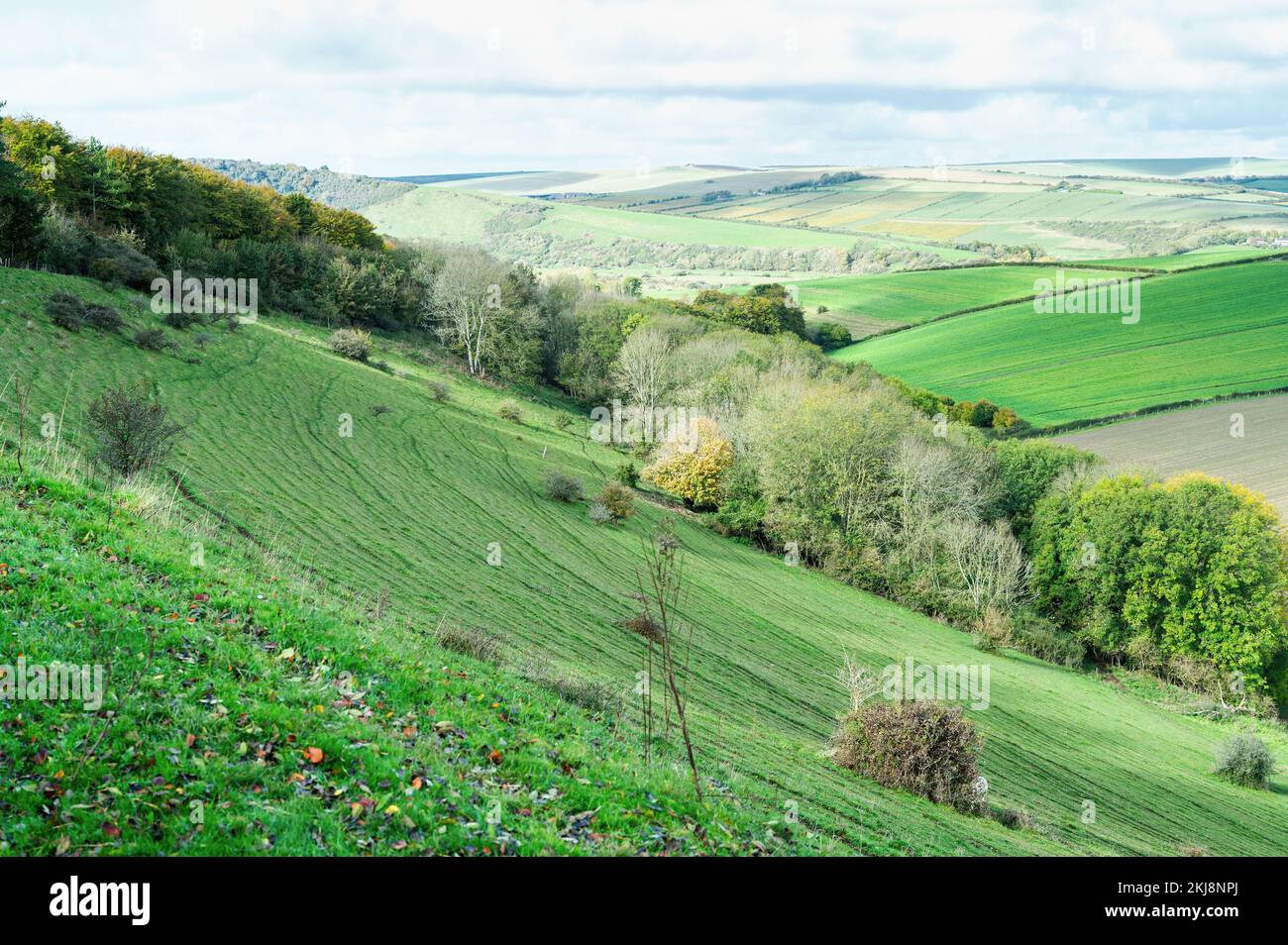 Ländliche Landschaften, Blick vom Friston-Wald über die Täler und Felder in East Sussex, England. Blick auf die Bäume und Hügel, selektiver Fokus Stockfoto