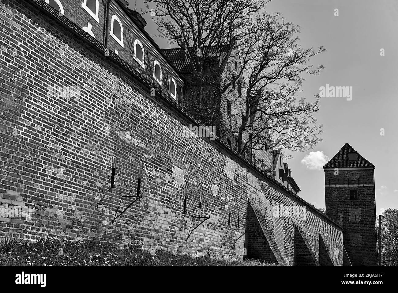 Eine historische Verteidigungsmauer mit einem Ziegelturm in der Stadt Torun in Polen, monochrom Stockfoto