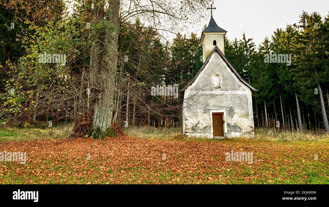 Die Kapelle im Herbstwald im Waldviertel, niederösterreich Stockfoto