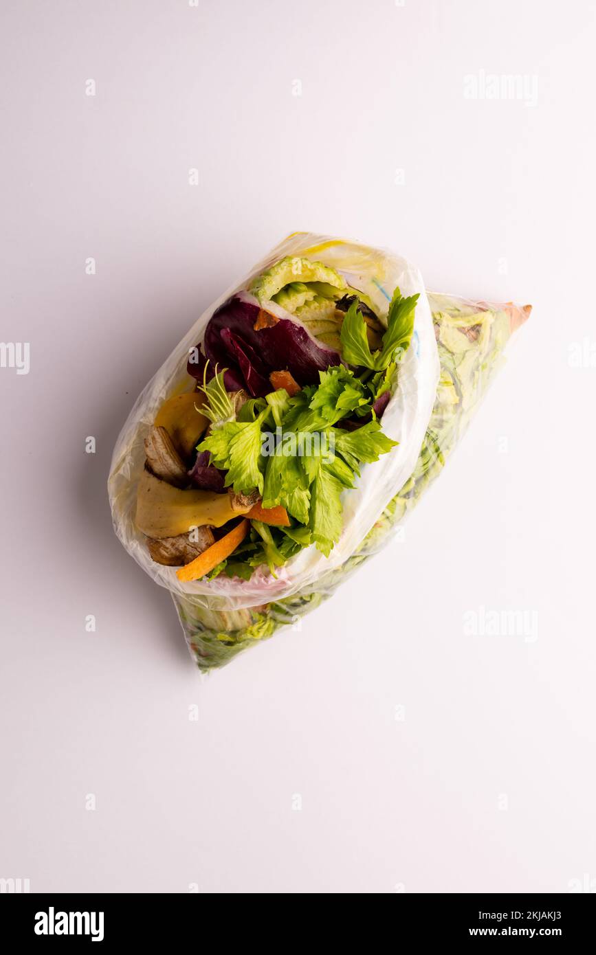 Vertikales Bild von organischen Obst- und Gemüseabfällen in Küchen-Kompostierbehälter Stockfoto