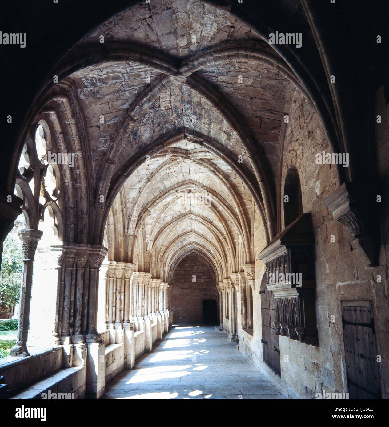 Monasterio de Santes Creus, Claustro. Tarragona. Stockfoto