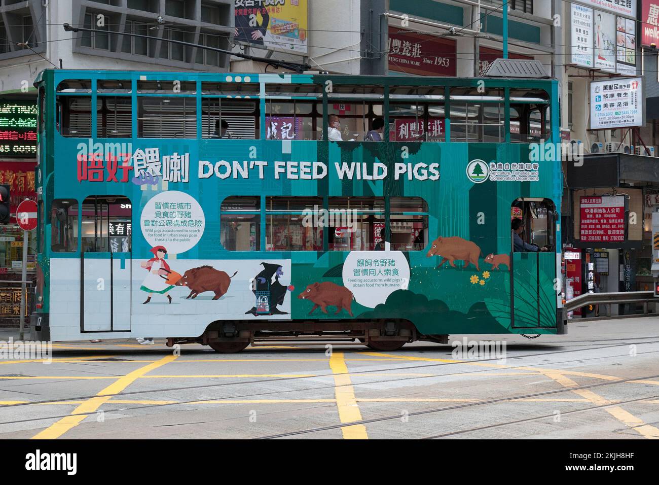 „Don't Feed Wild Pigs“ – Bannerwerbung auf einer Straßenbahn in Hongkong, Queen's Road West, Sheung Wan District, Hongkong 17. November 2022 Stockfoto