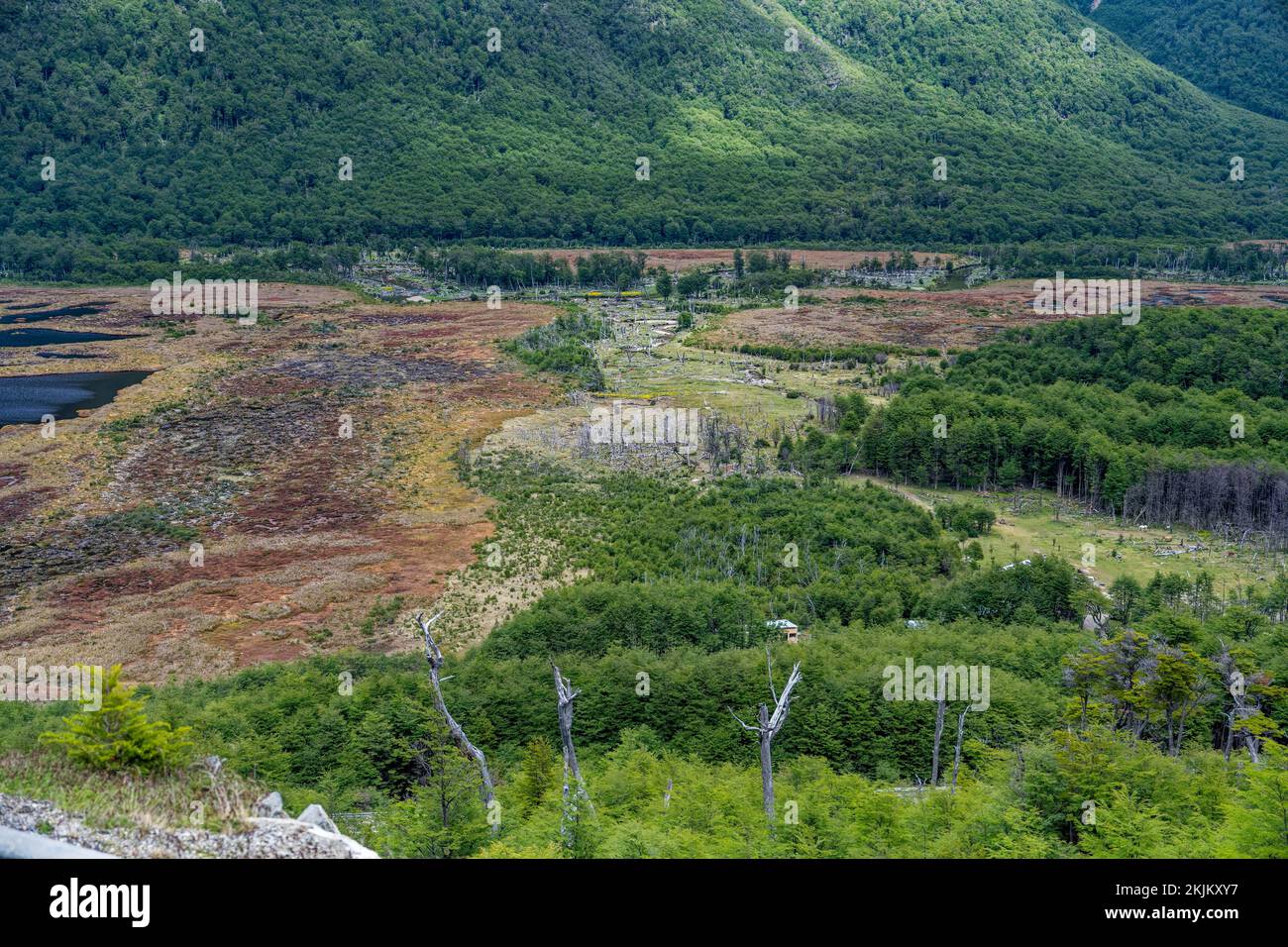 Moor und Wald- und Berglandschaft Ushuaia Argentinien Stockfoto