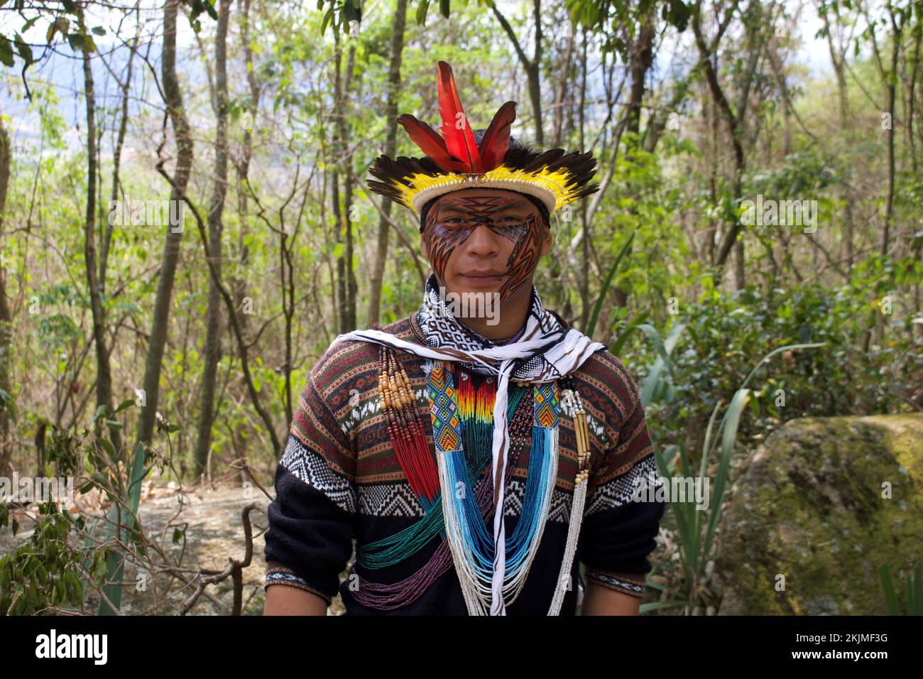 Die Ureinwohner, der Mann der Ureinwohner, der traditionellen Kopfschmuck aus Vogelfedern und Gesichtsmalerei trägt, Yawanawá Atlantik, Brazi Stockfoto