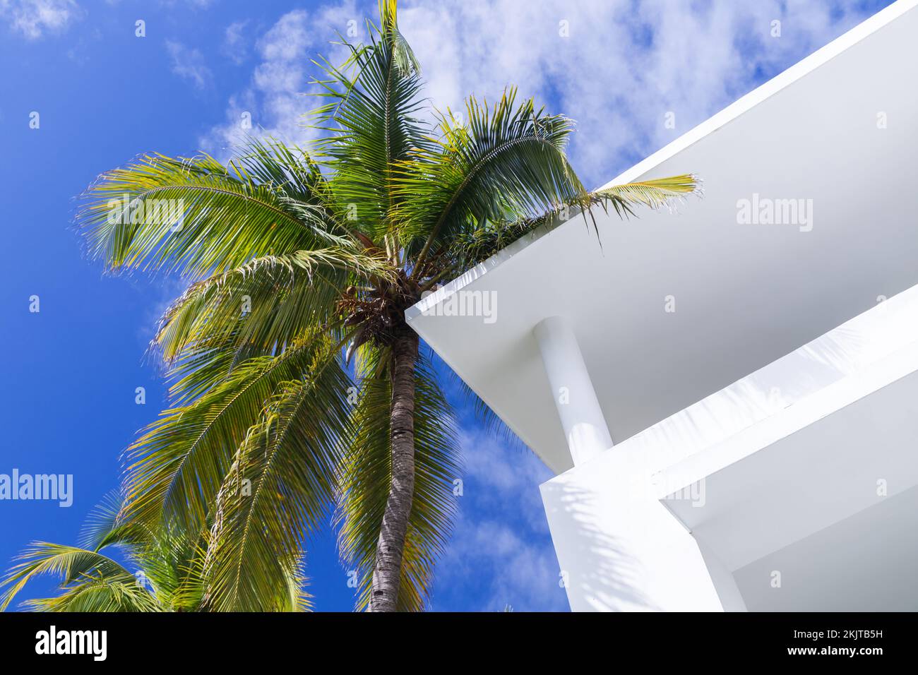 Weißes Haus von außen und Palmen unter blauem bewölktem Himmel an einem sonnigen Tag. Abstrakter minimaler Architekturhintergrund Stockfoto