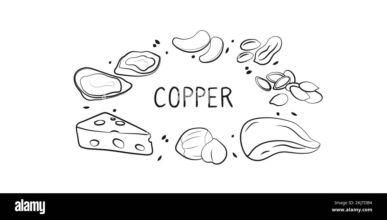 Kupferhaltige Lebensmittel. Gruppen von gesunden Lebensmitteln mit Vitaminen und Mineralstoffen. Set aus Obst, Gemüse, Fleisch, Fisch und Milchprodukten. Stock Vektor