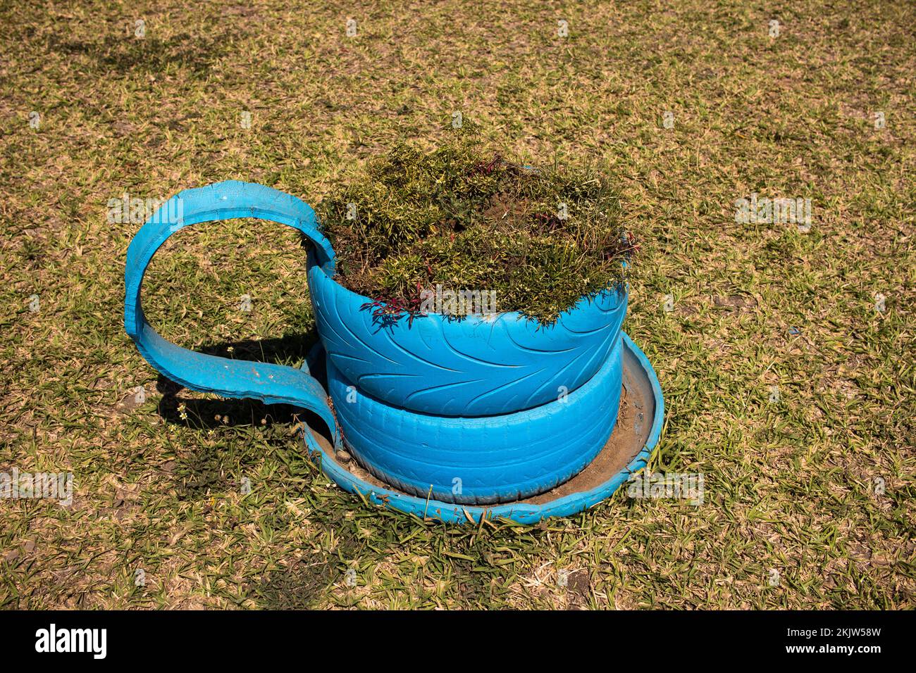 Recycelter Reifen, der als Pflanzenvase in Form einer Tasse Tee verwendet wird Stockfoto