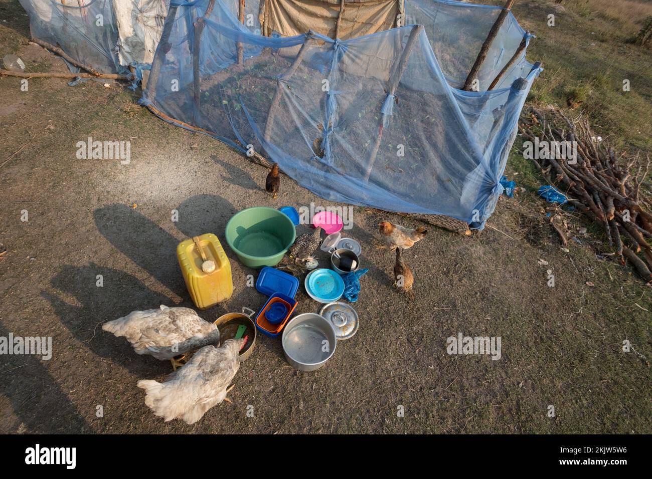 Ein Hinterhof in Afrika, mit Geschirr und Moskitonetzen, die zum Abzäunen von Gemüsegärten der Familie verwendet wurden. Stockfoto