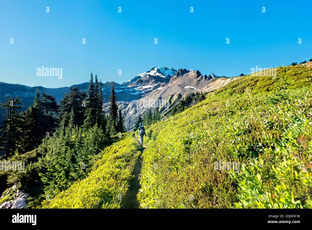 Trekking durch Glacier Peak Wilderness, North Cascades, Pacific Crest Trail, Washington, USA Stockfoto