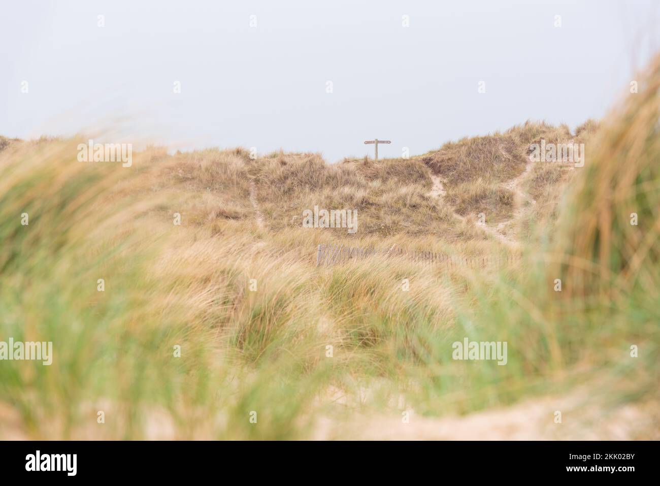 Winterton Dünen, Norfolk i mit Schild für Norfolk Coast Pfad. Winterton, Mai 2022 Stockfoto