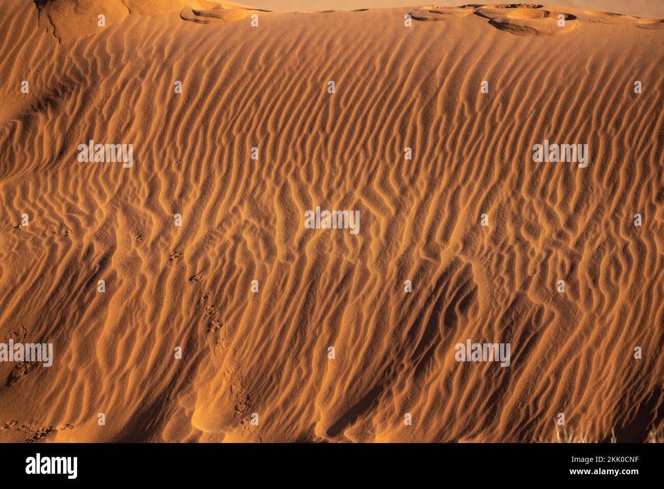 Muster in den Sanddünen der Namib-Wüste bei Sonnenaufgang in Namibia, Afrika Stockfoto