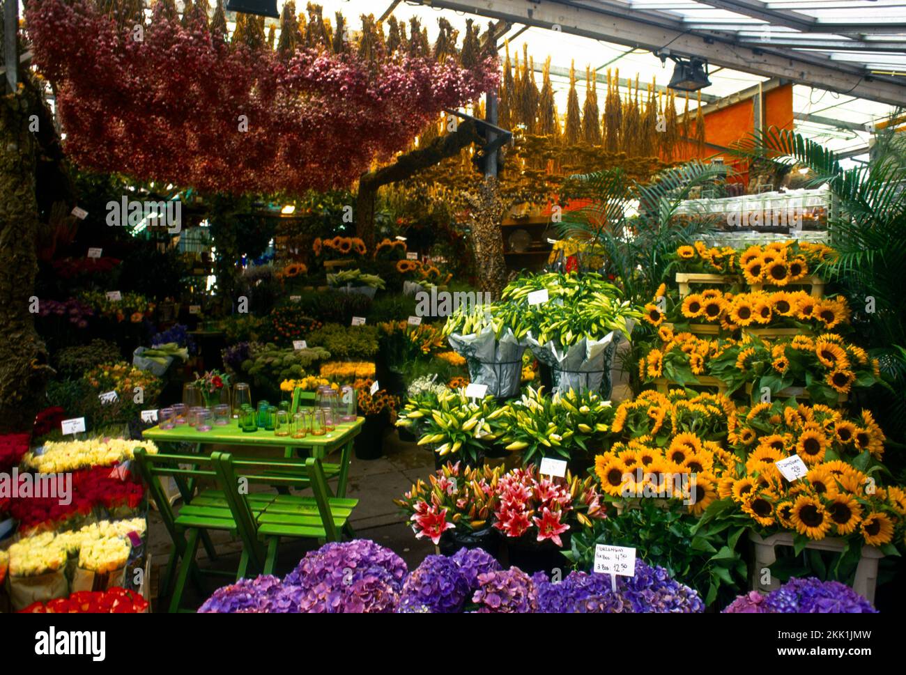 Amsterdam Holland Bloemenmarkt - der einzige schwimmende Blumenmarkt der Welt am Singel Canal Stockfoto
