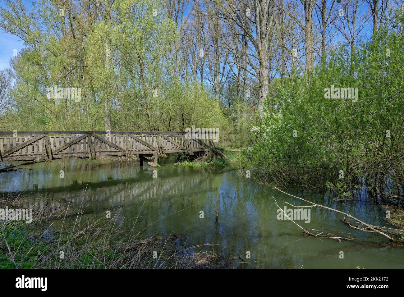 Naturschutzgebiet Urdenbacher Kaempe, altes Rheinflutgebiet, Düsseldorf-Urdenbach, Deutschland Stockfoto