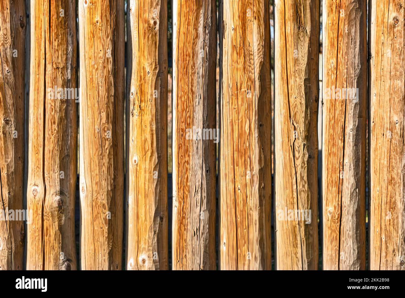 Textur von Holzstämmen. Holzhintergrund für Kopierraum. Stockfoto